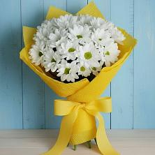 Букет цветов из:  Хризантемы в Советском Республика Дагестан