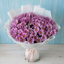 Букет цветов из:  Хризантемы в Советском Республика Дагестан