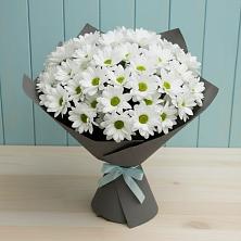 Букет цветов из:  Хризантемы в Советском Республика Дагестан