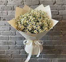 Букет цветов из:  Ромашки в Советском Республика Дагестан