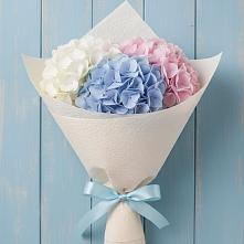 Букет цветов из:  Гортензия в Советском Республика Дагестан