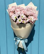 Букет цветов из:  Хризантемы в Советском Республика Дагестан