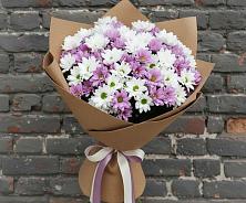 Букет цветов из:  Хризантемы #REPLACE_PRED# Советском Республика Дагестан