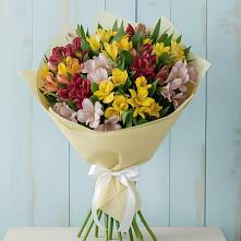 Букет цветов из:  Альстромерии в Советском Республика Дагестан