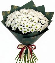 Букет цветов из:  Хризантемы в Советском Республика Дагестан