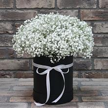 Цветочная композиция из Гипсофила в шляпной коробке в Советском Республика Дагестан