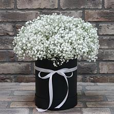 Цветочная композиция из Гипсофила в шляпной коробке в Советском Республика Дагестан