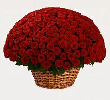 Премиум букет из: Розы #REPLACE_PRED# Советском Республика Дагестан